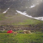 Idyll foran Vengetindane Idyll foran Vengetindane