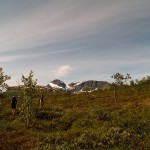 Beisfjordtøtta Beisfjordtøtta