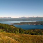 Rombaken