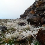 Frost på bakken Frost på bakken