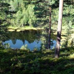 Det nordligste av Småtjerna Det nordligste av Småtjerna