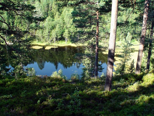 Det nordligste av Småtjerna